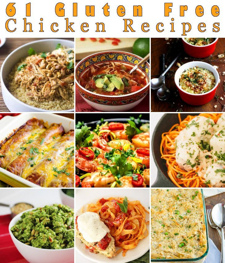Gluten Free Recipes Food Network
 61 Gluten Free Chicken Recipes – The Food Explorer