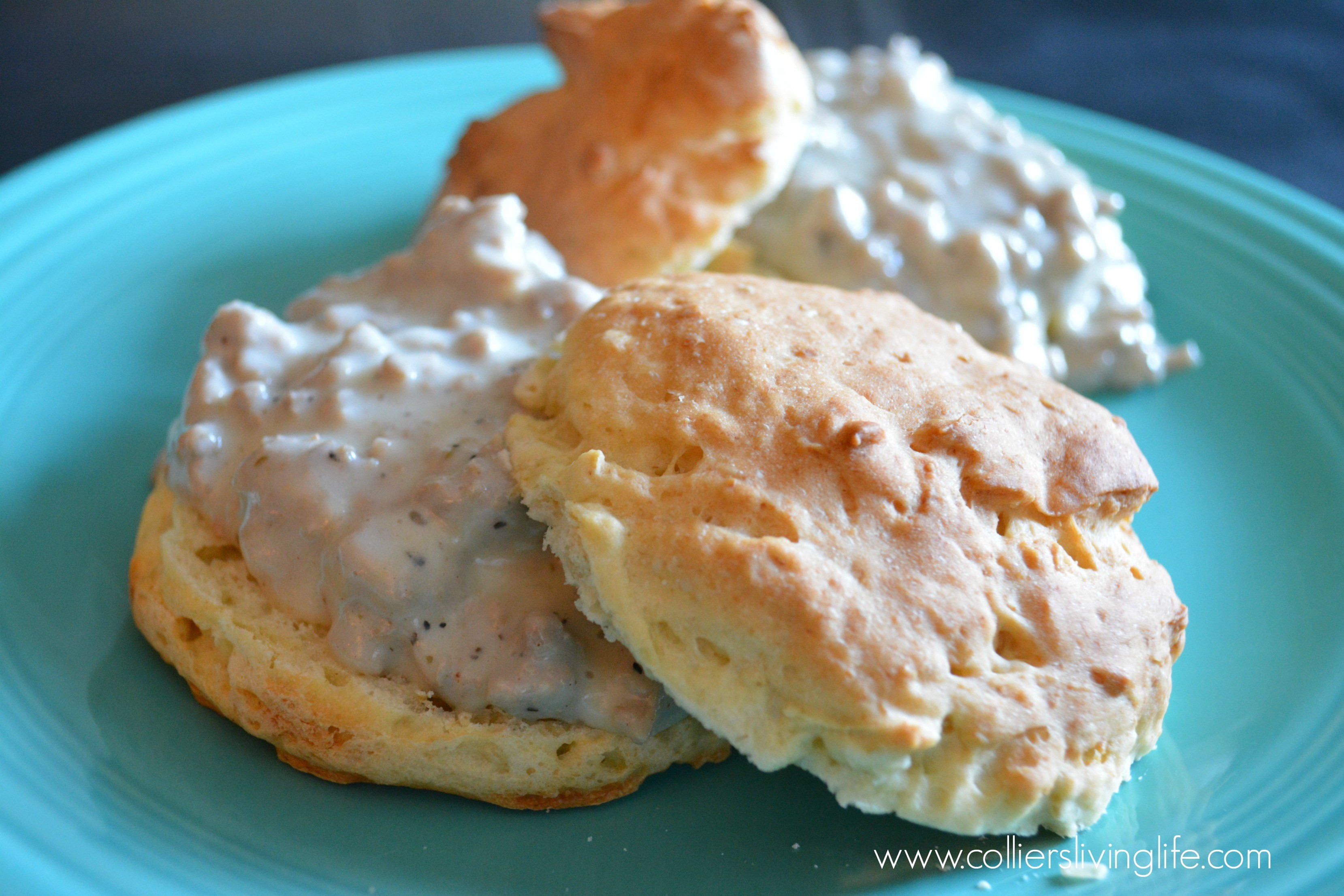 Gluten Free Sausage Gravy
 Gluten free Sausage Gravy quick and easy freezes great