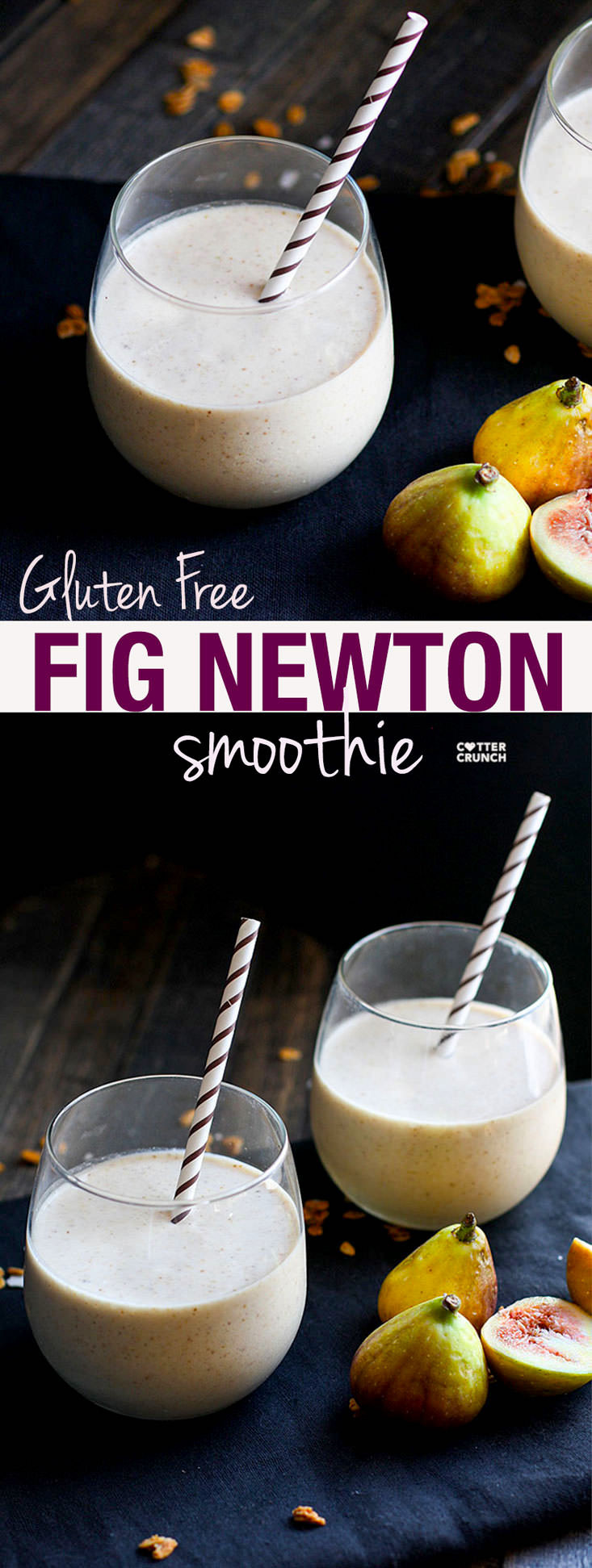 Gluten Free Smoothies
 Fig Newton Breakfast Smoothie Gluten Free