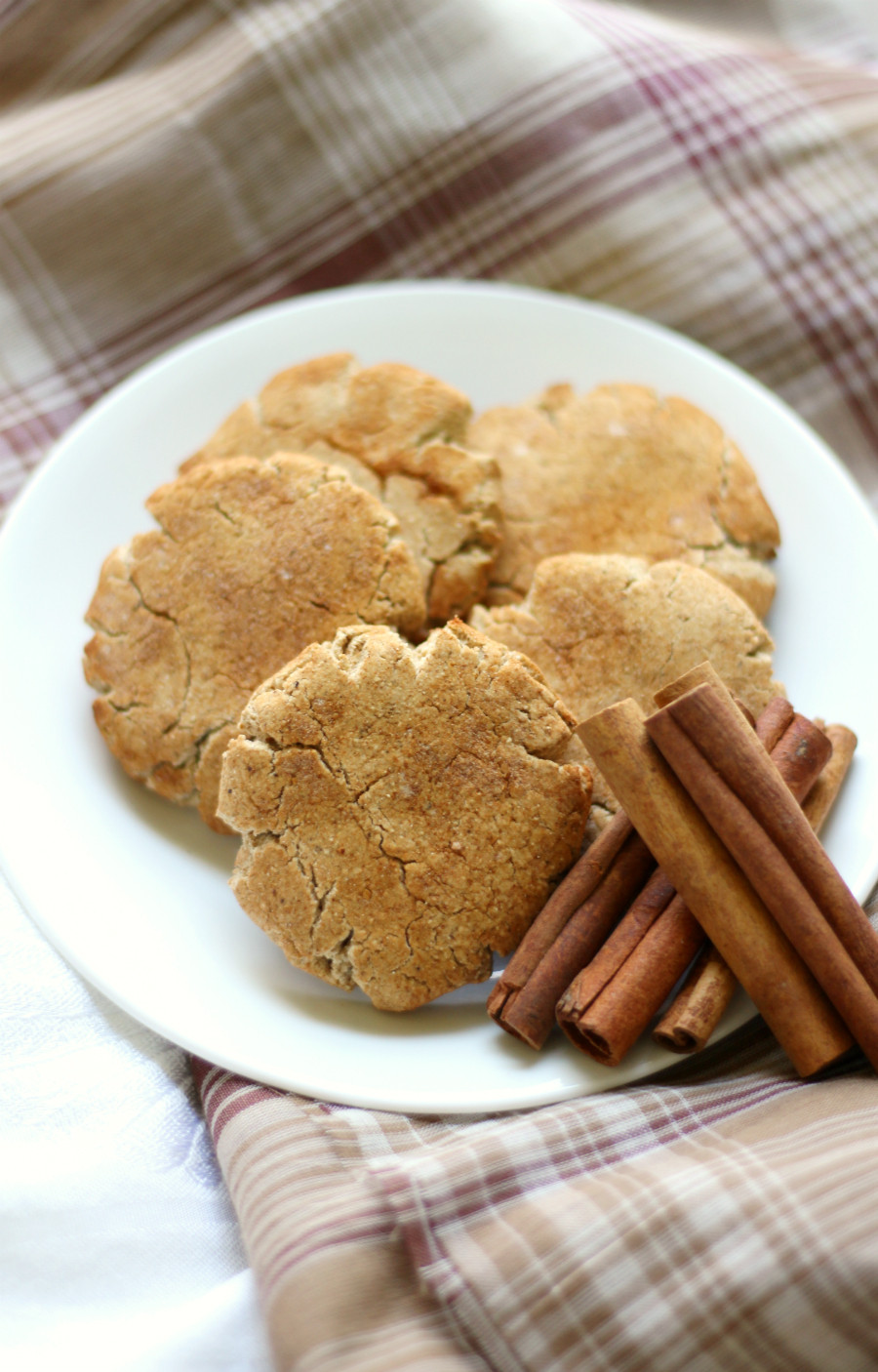 Gluten Free Snickerdoodles Recipe
 Gluten Free Snickerdoodles