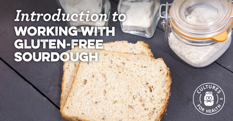 Gluten Free Sourdough Bread For Sale
 gluten free sourdough starter