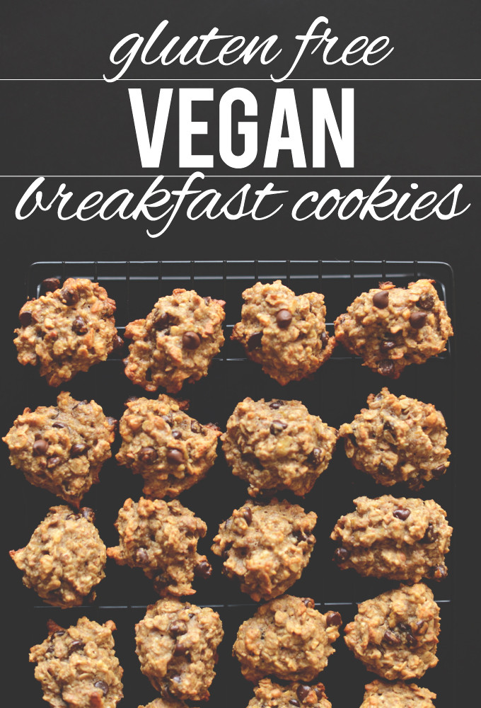 Gluten Free Vegan Breakfast Recipes
 Gluten Free Vegan Breakfast Cookies