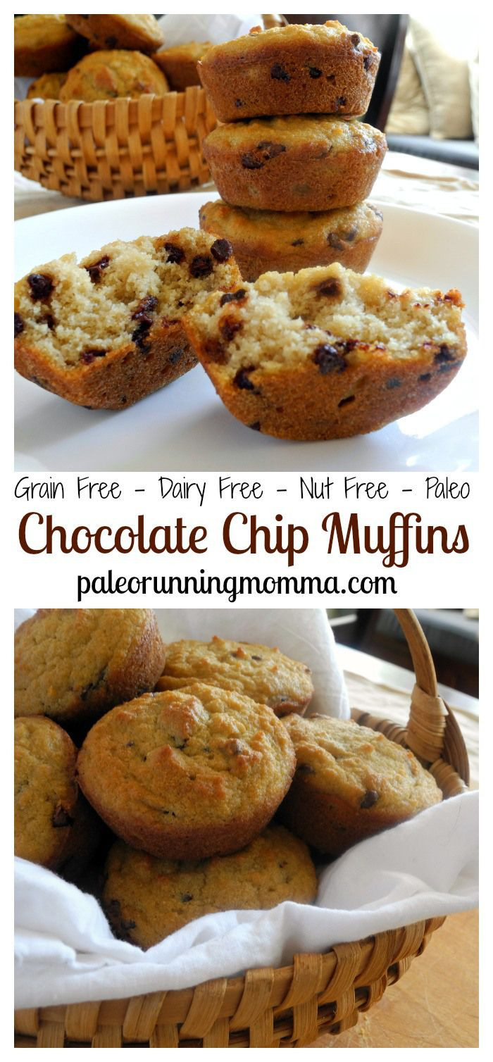 Grain Free Dairy Free Recipes
 Easy Chocolate Chips Muffins Grain Dairy and Nut Free