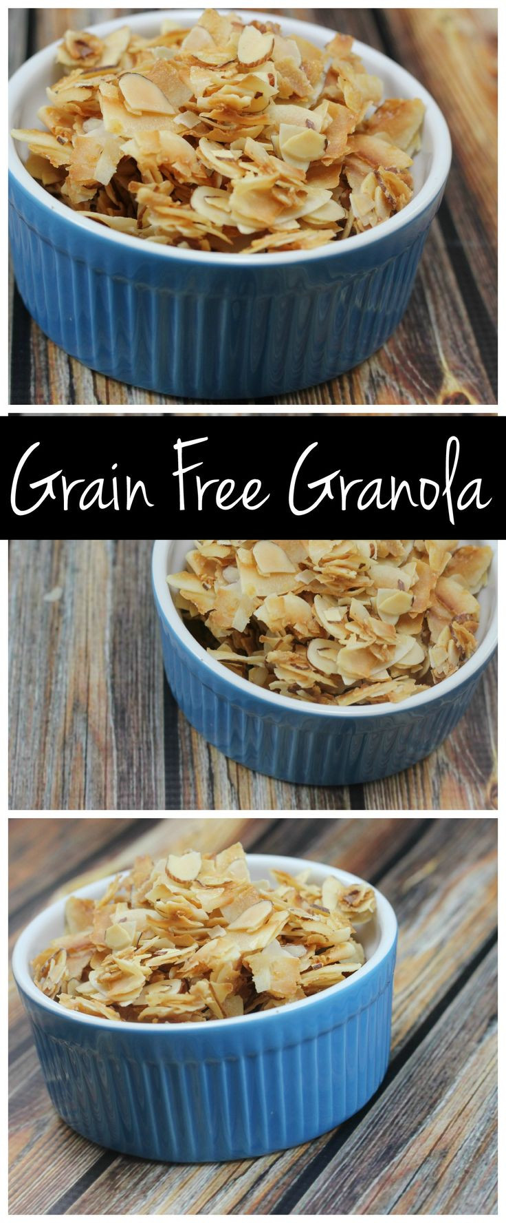 Grain Free Vegetarian Recipes
 Easy Grain Free Granola [Vegan & Gluten Free]