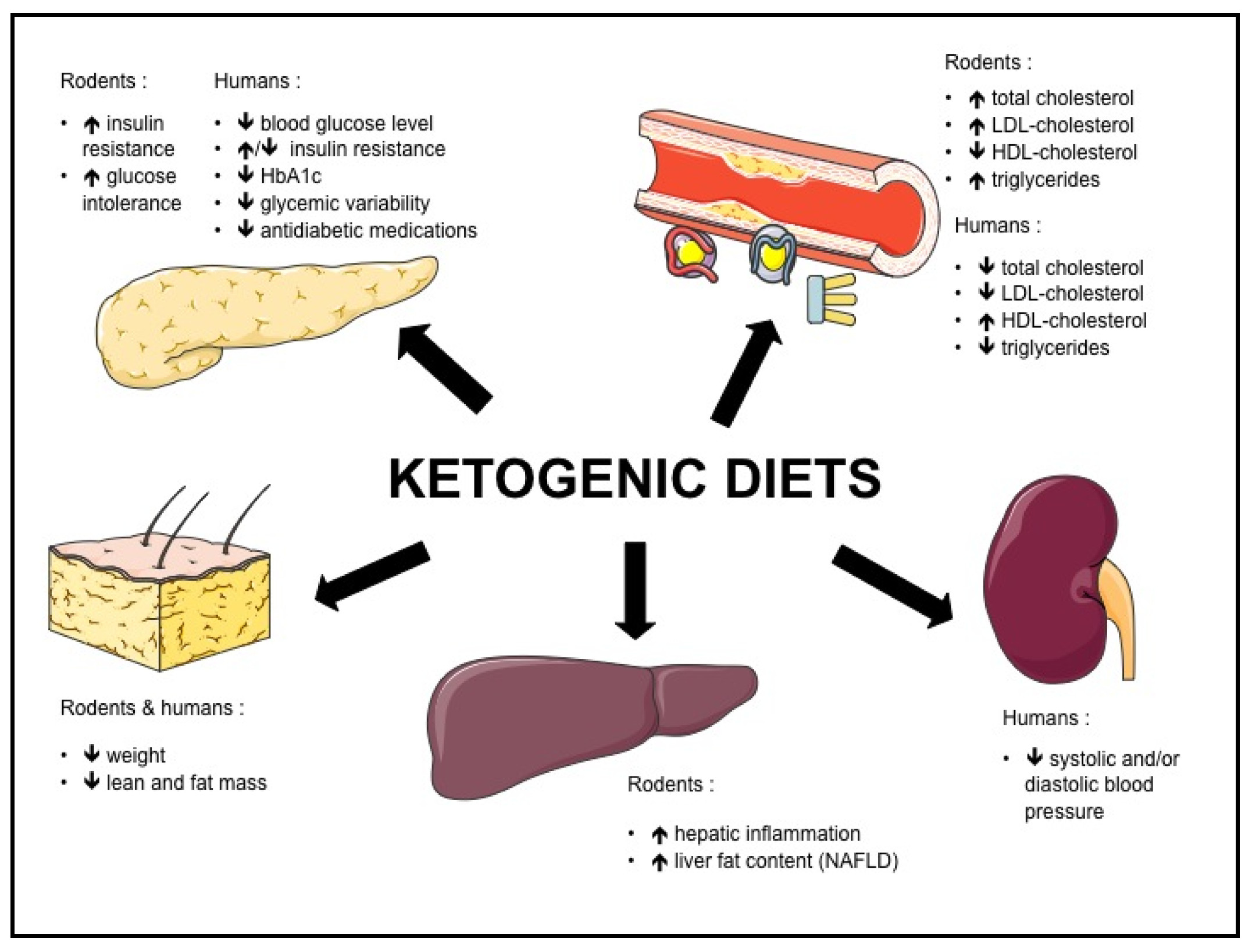 Health Risks Of Keto Diet
 Nutrients Free Full Text