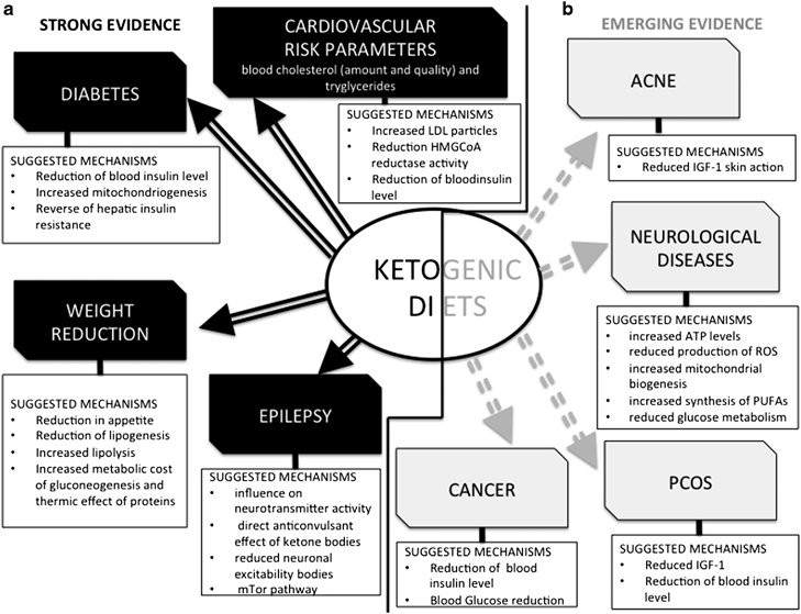 Health Risks Of Keto Diet
 Ketogenic Diet 25 Proven Benefits and How to Know if it s