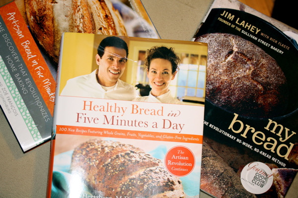 Healthy Bread In Five Minutes A Day
 Healthy Bread in Five Minutes a Day vs Lahey s My Bread