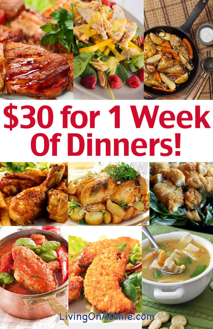 Healthy Cheap Dinner Ideas
 Cheap Family Dinner Ideas $30 for 1 Week of Dinners
