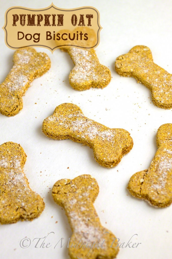 Healthy Dog Biscuit Recipe
 Homemade Dog Treat & Biscuit Recipes