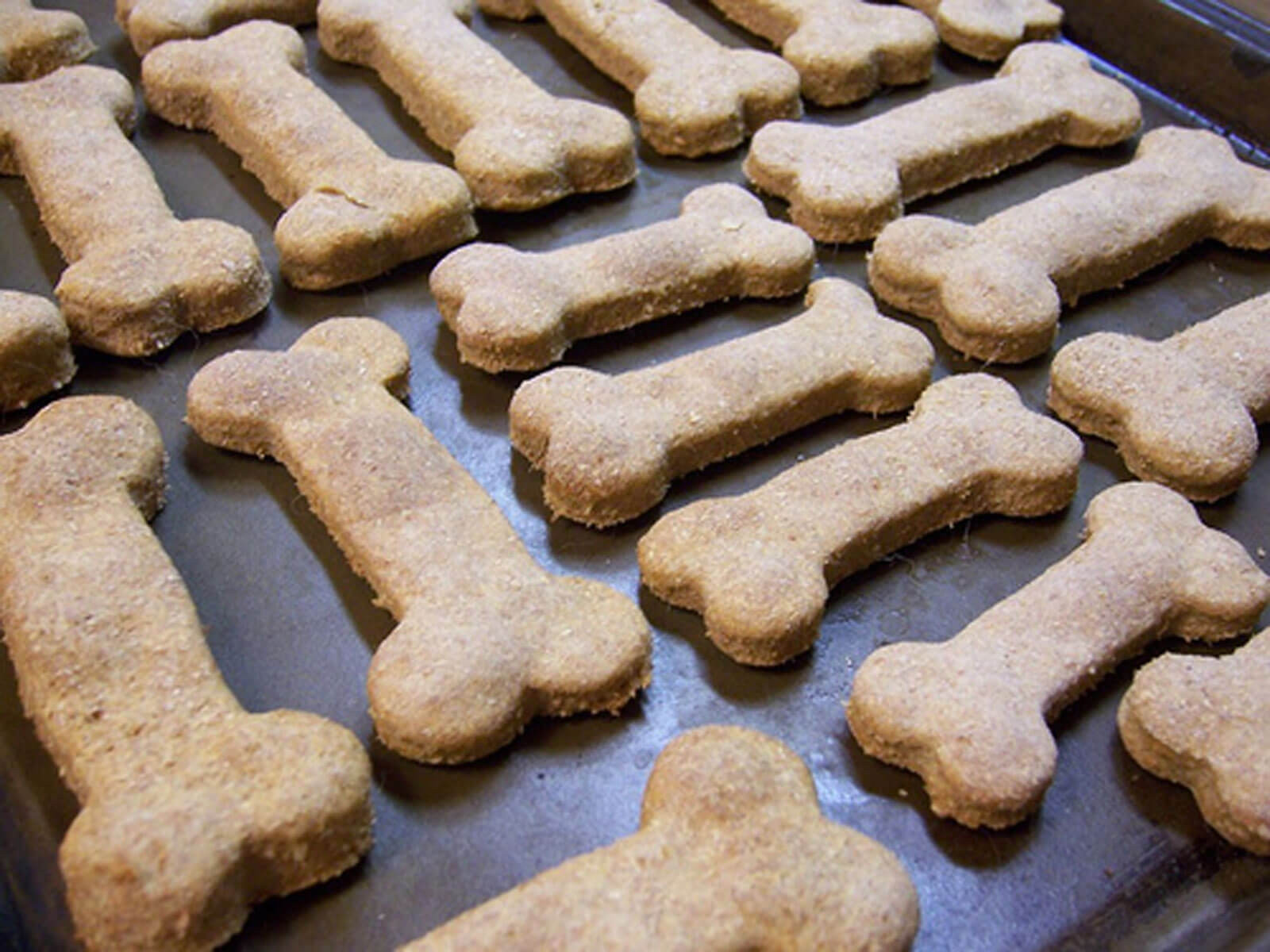 Healthy Dog Biscuit Recipe
 Pamper Your Pooch With These 5 Homemade Vegan Dog Treats