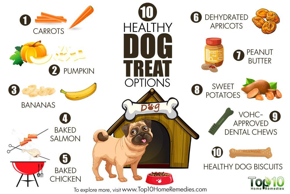 Healthy Dog Snacks
 10 Healthy Dog Treat Options