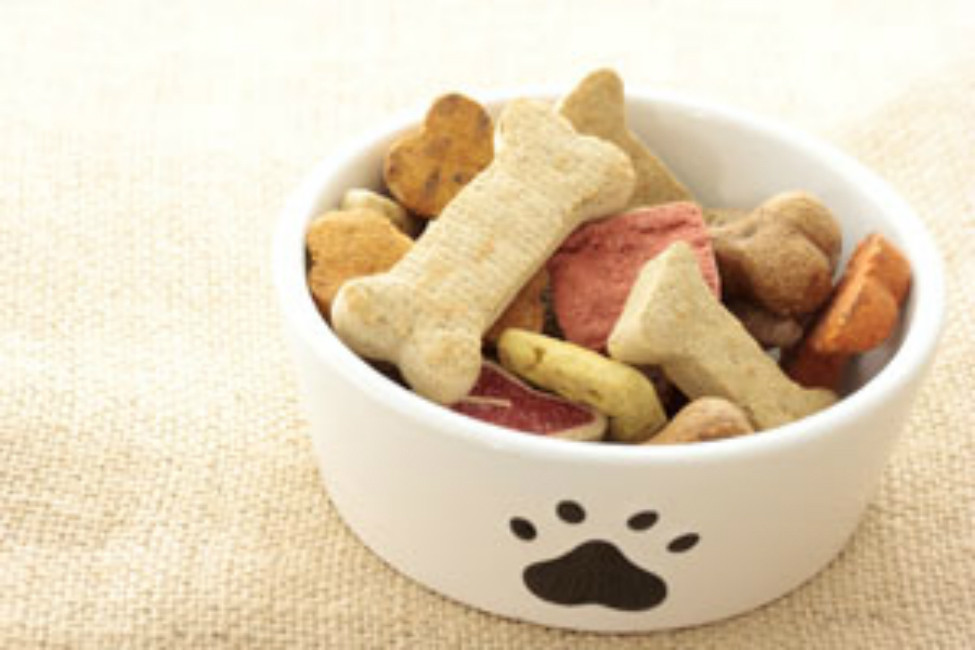 Healthy Dog Snacks
 Healthy and Yummy Dog Treats to Make