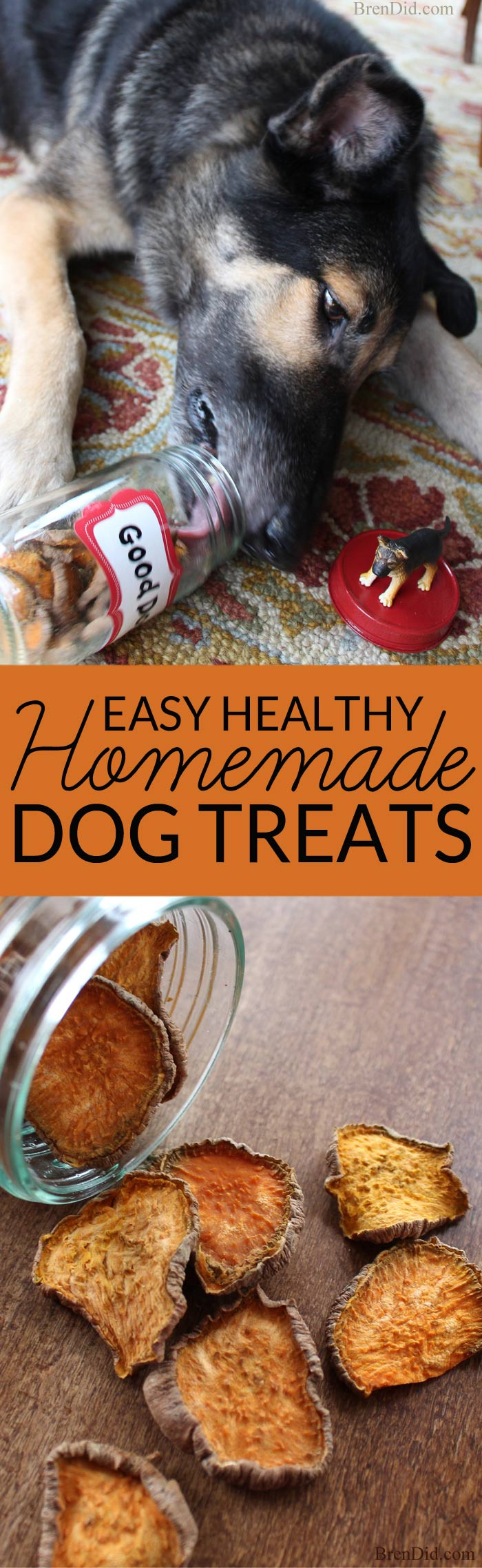 Healthy Dog Snacks
 Healthy Homemade Dog Treats Bren Did