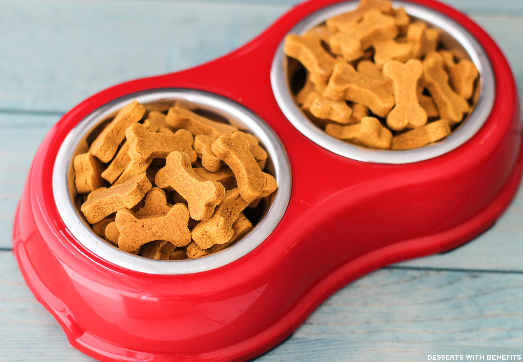 Healthy Dog Snacks
 Healthy Homemade Peanut Butter Pumpkin Dog Treats