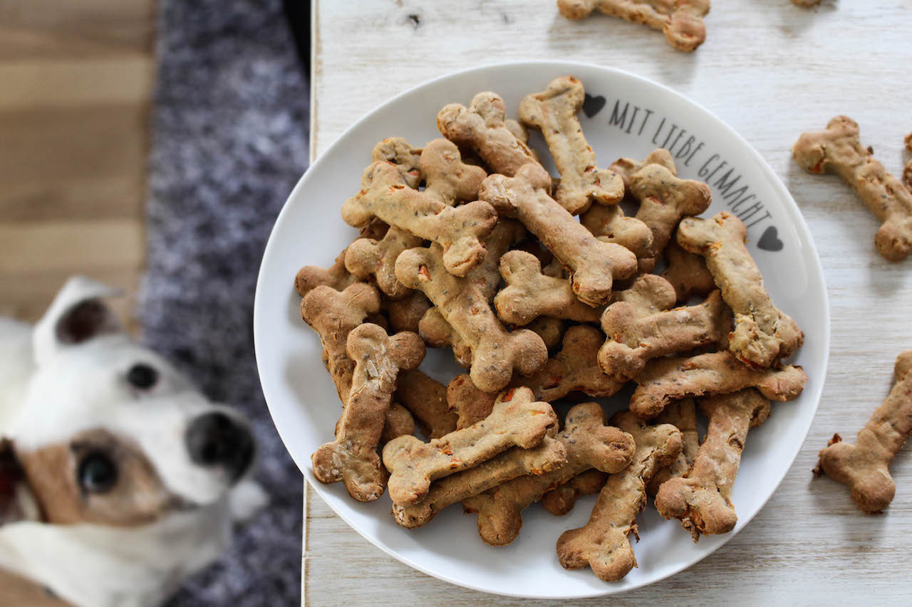 Healthy Dog Snacks
 Healthy Dog Treats with Bananas and Carrots Heavenlynn