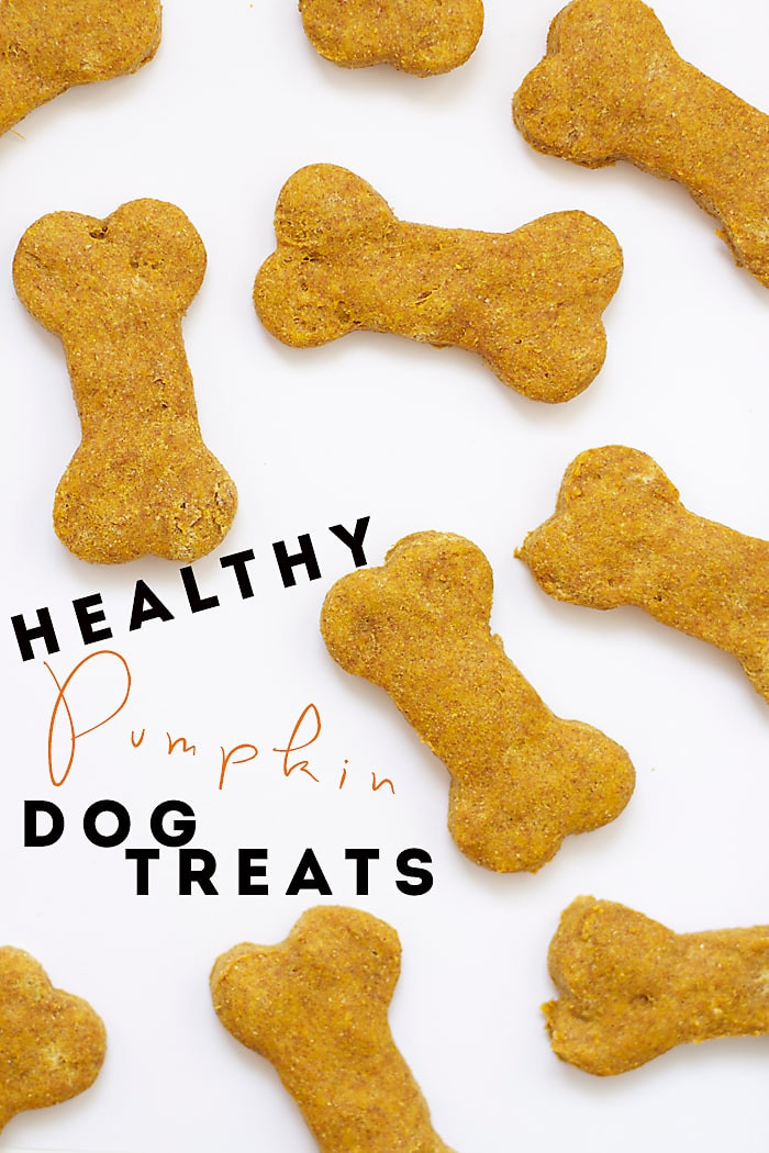 Healthy Dog Snacks
 Healthy Pumpkin Dog Treats