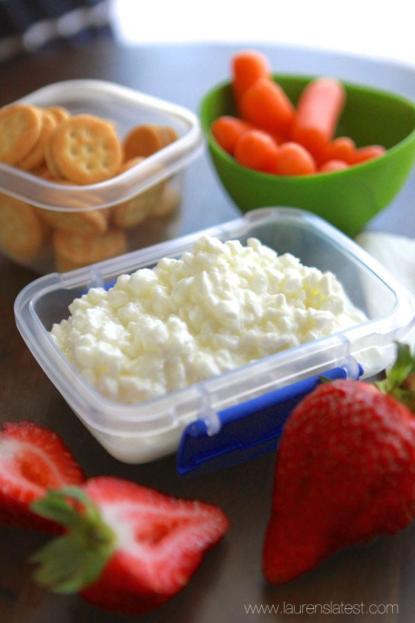 Healthy Homemade Lunches
 50 Healthy School Lunch Ideas