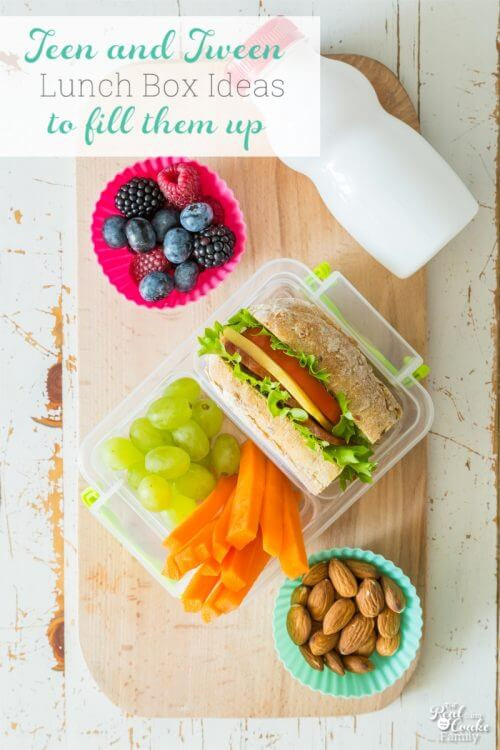 Healthy Lunches For Teens
 9 School Lunch Ideas to Fill Up Your Teen or Tween The