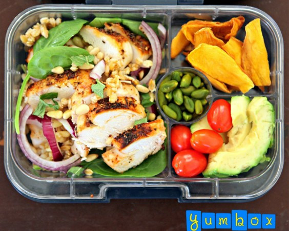 Healthy Lunches On The Go
 Bento Box Lunch Ideas 25 Healthy and Worthy Bento