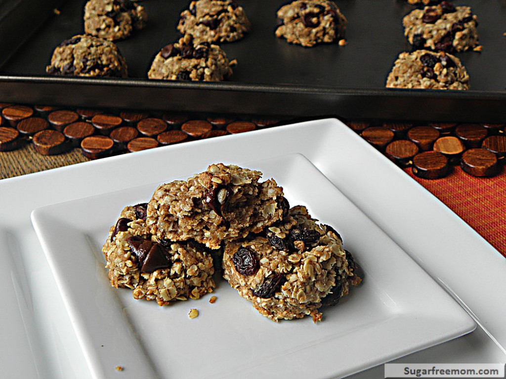 Healthy Oatmeal Cookies No Sugar
 Healthy Oatmeal Raisin Cookies No Sugar Added