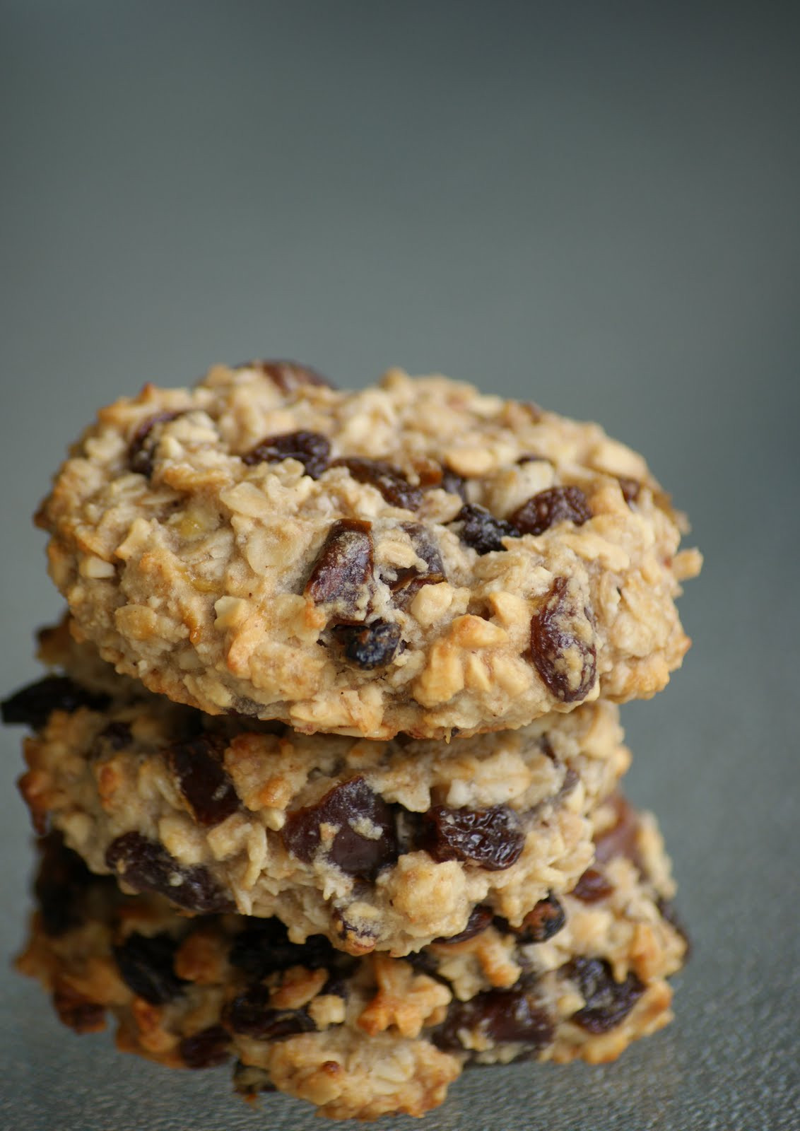 Healthy Oatmeal Cookies No Sugar
 Recipes Sugar free carb free stevia healthy etc on