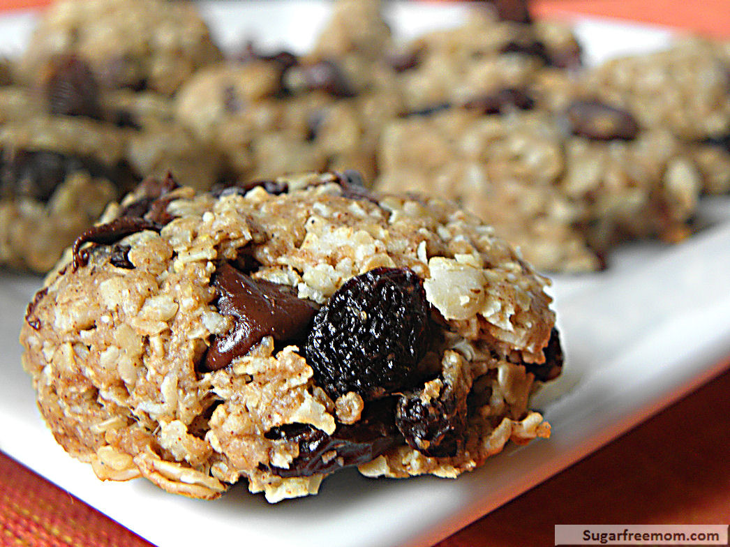 Healthy Oatmeal Cookies Without Sugar
 Healthy Oatmeal Raisin Cookies No Sugar Added