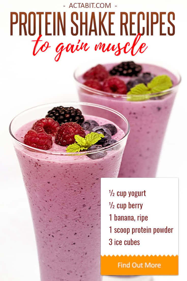 Healthy Protein Smoothie Recipes
 Healthy Protein Shake Recipes to Gain Muscle
