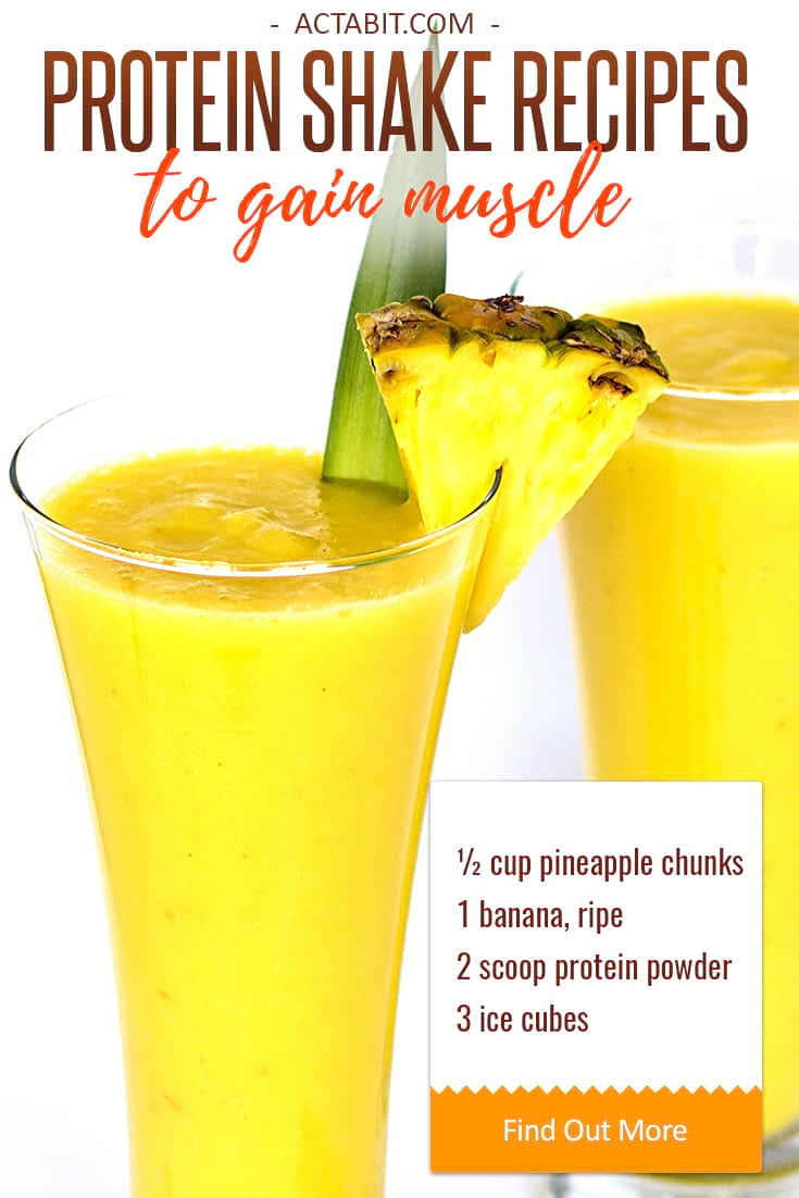Healthy Protein Smoothie Recipes
 Healthy Protein Shake Recipes to Gain Muscle
