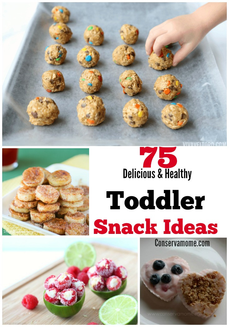 Healthy Toddler Snacks On The Go
 75 Delicious & Healthy Toddler Snack Ideas ConservaMom