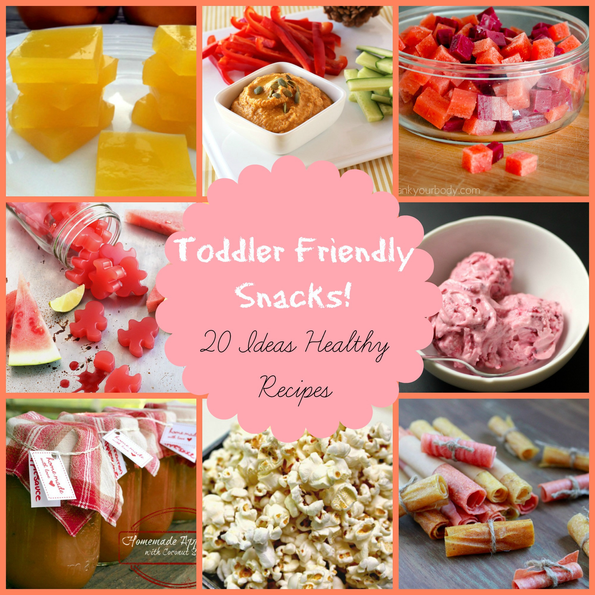 Healthy Toddler Snacks On The Go
 Healthy Snacks for Kids 20 toddler friendly ideas