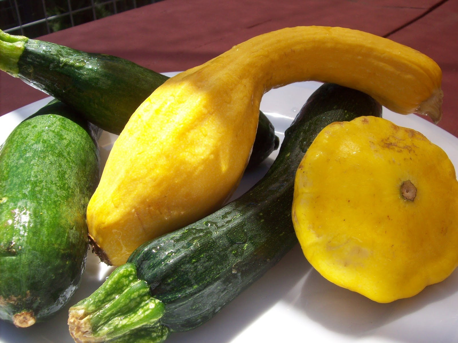 Healthy Yellow Squash Recipes
 Yellow Summer Squash Recipes Healthy