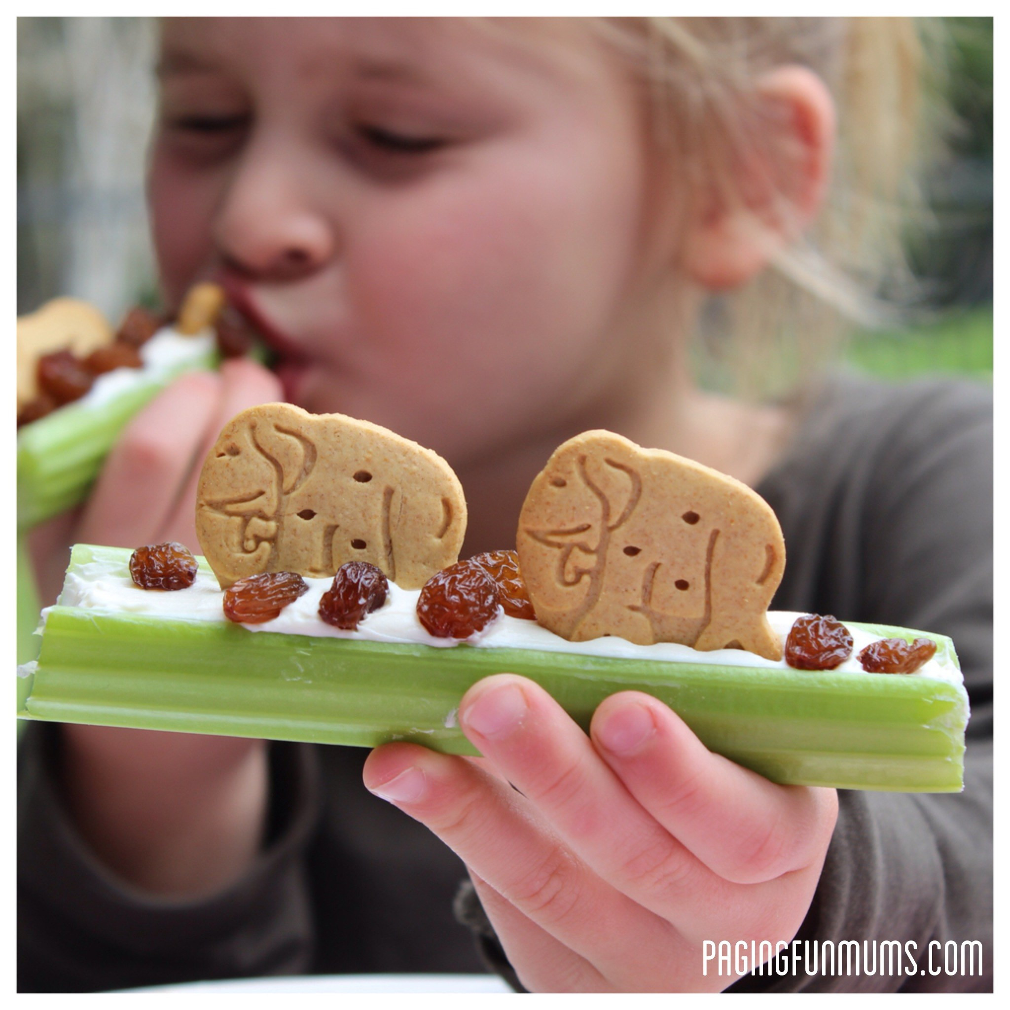 Healthy Yummy Snacks
 Healthy & FUN After School Snack Celery Animal Snacks