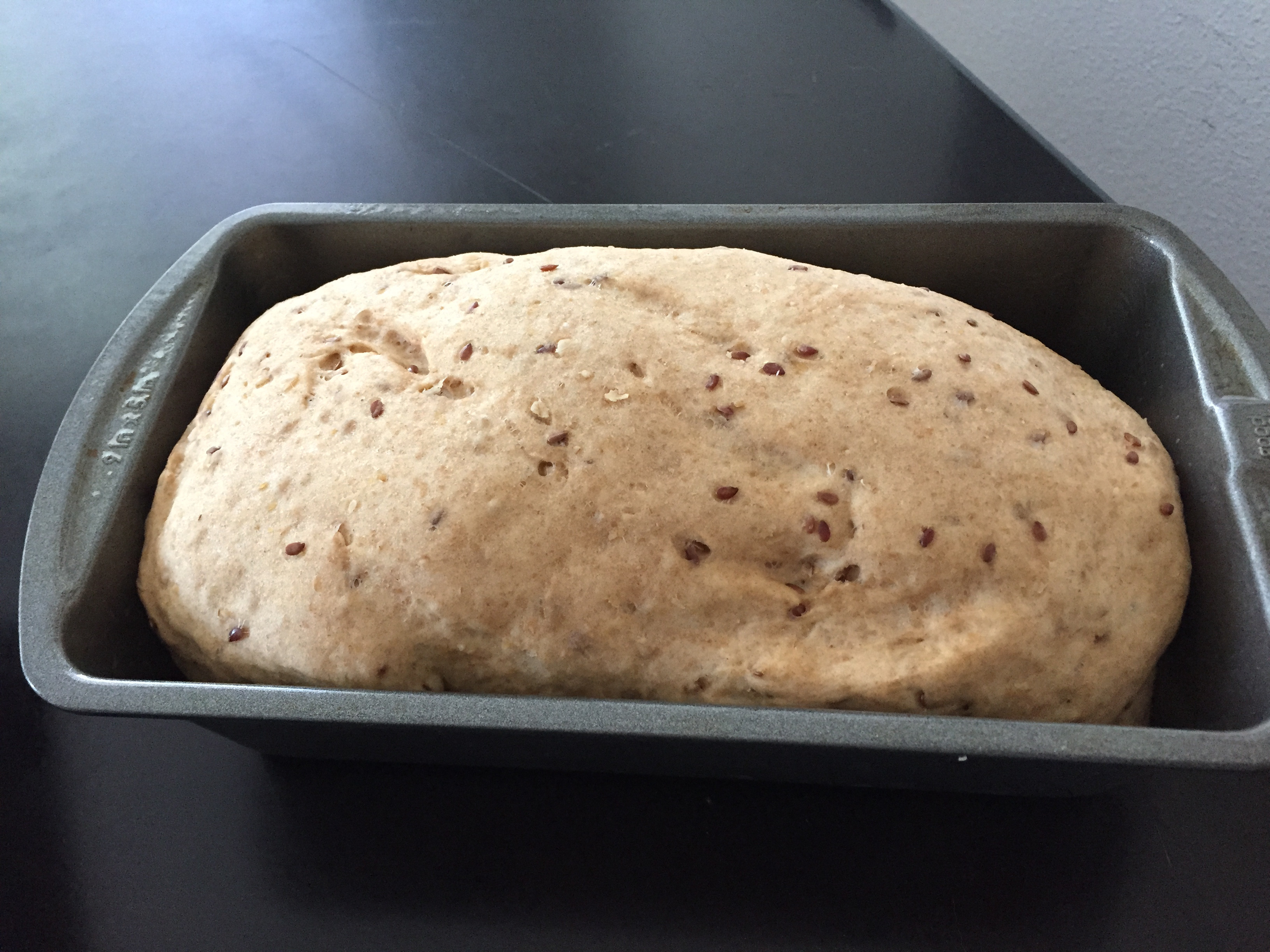 High Fiber Bread Recipe
 High Fiber Bread Recipe – Got Mixer
