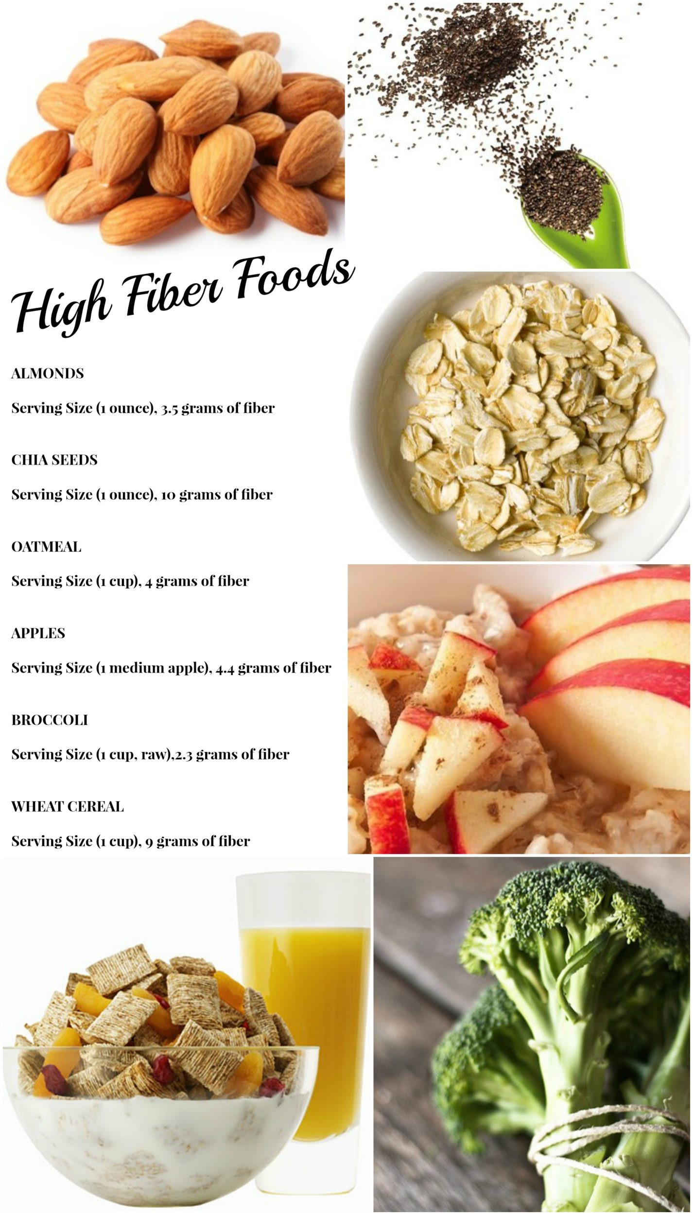 High Fiber Diet Recipes
 Lose More Weight with a High Fiber Diet