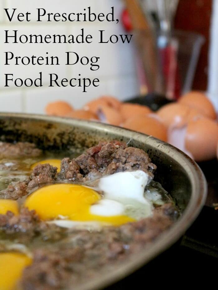 High Fiber Dog Food Recipes
 Low Phosphorus Diet Dog Food s by Kim