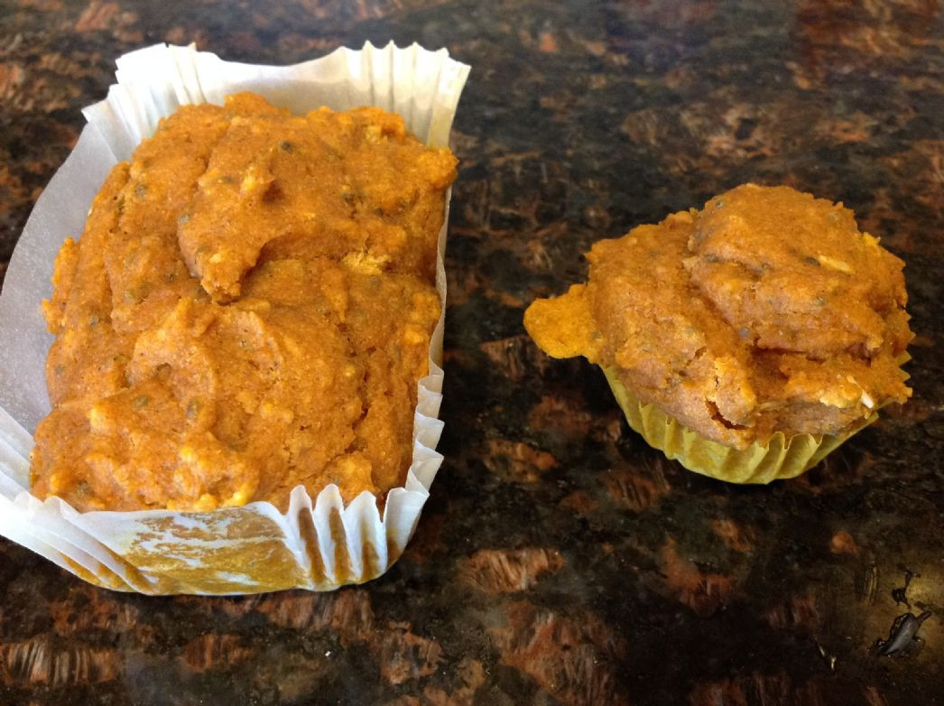 High Fiber Muffin Recipes
 High Fiber Pumpkin Muffins Recipes