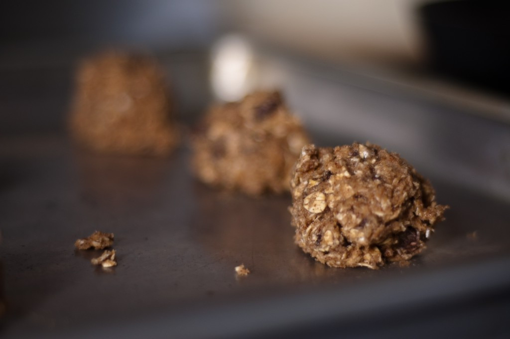 High Fiber Oatmeal Cookies
 High Fiber Oatmeal Cookies