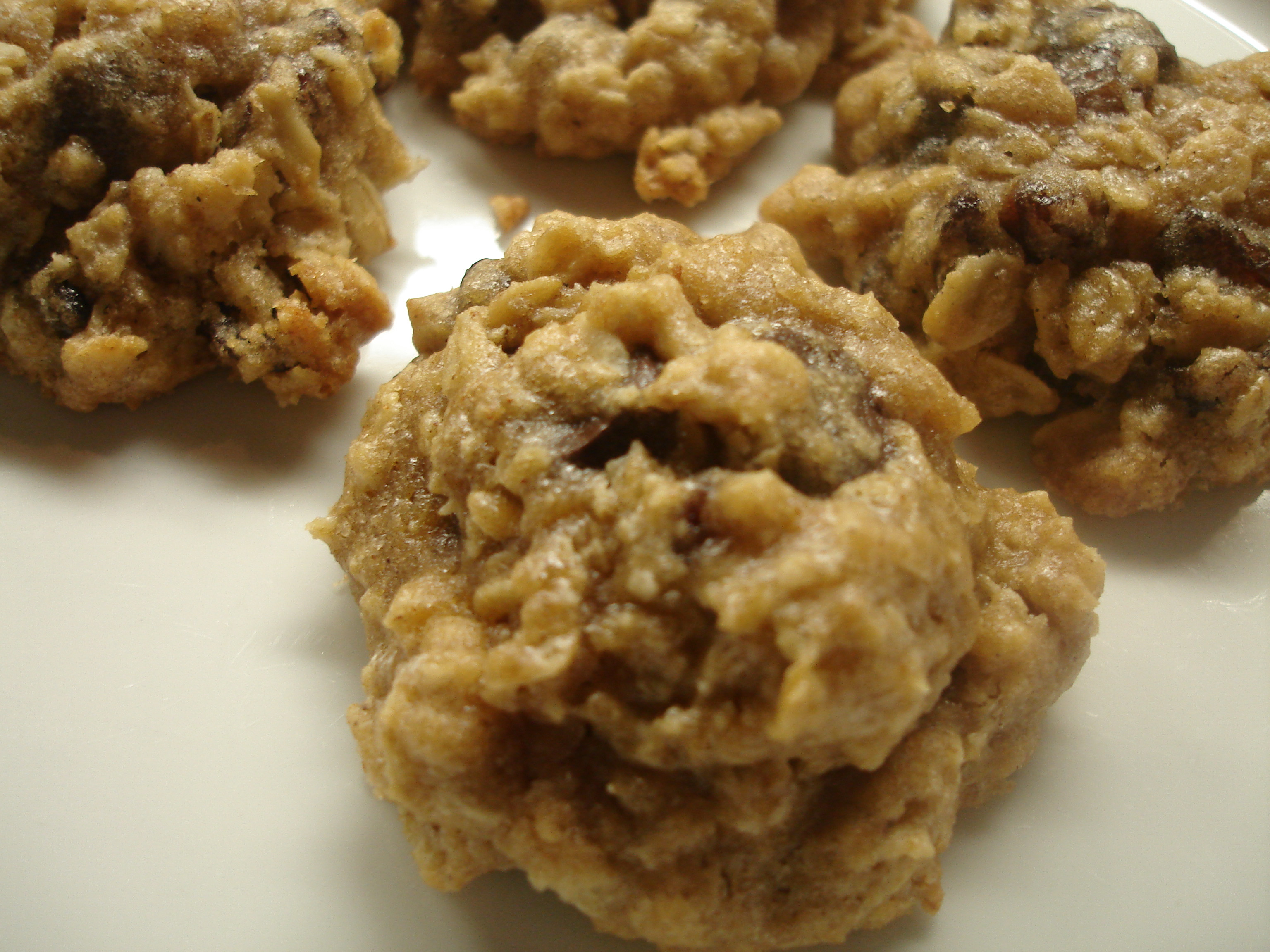 High Fiber Oatmeal Cookies
 File High Fiber Oatmeal Raisin Chocolate Chip Cookies in a