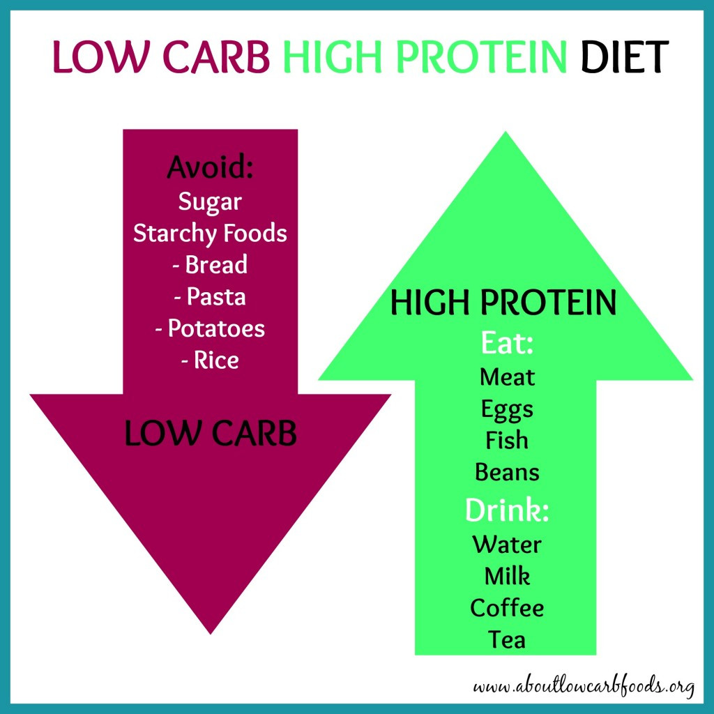 High Protein Low Carb Diet Recipes
 What Are The Effects of A Low Carb High Protein Diet An