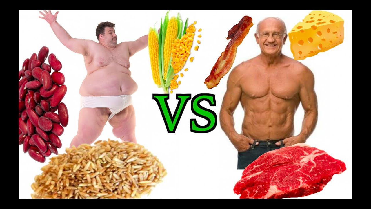 High Protein Low Carb Vegetarian Foods
 Vegan Foods High In Protein Low Carbs