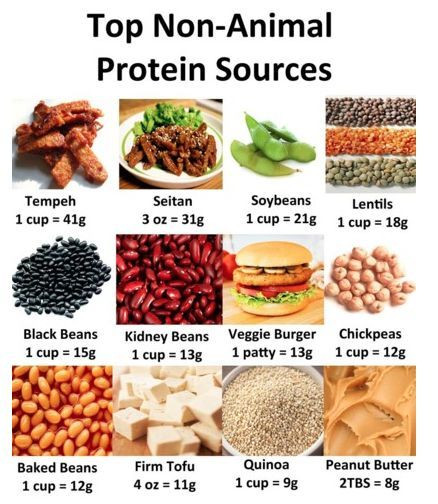 High Protein Low Fat Vegetarian
 Vegan Protein Options