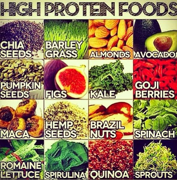 High Protein Vegetarian Food
 Best High Protein Food