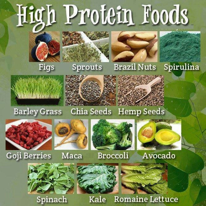 Best 20 High Protein Vegetarian Food Best Diet and Healthy Recipes