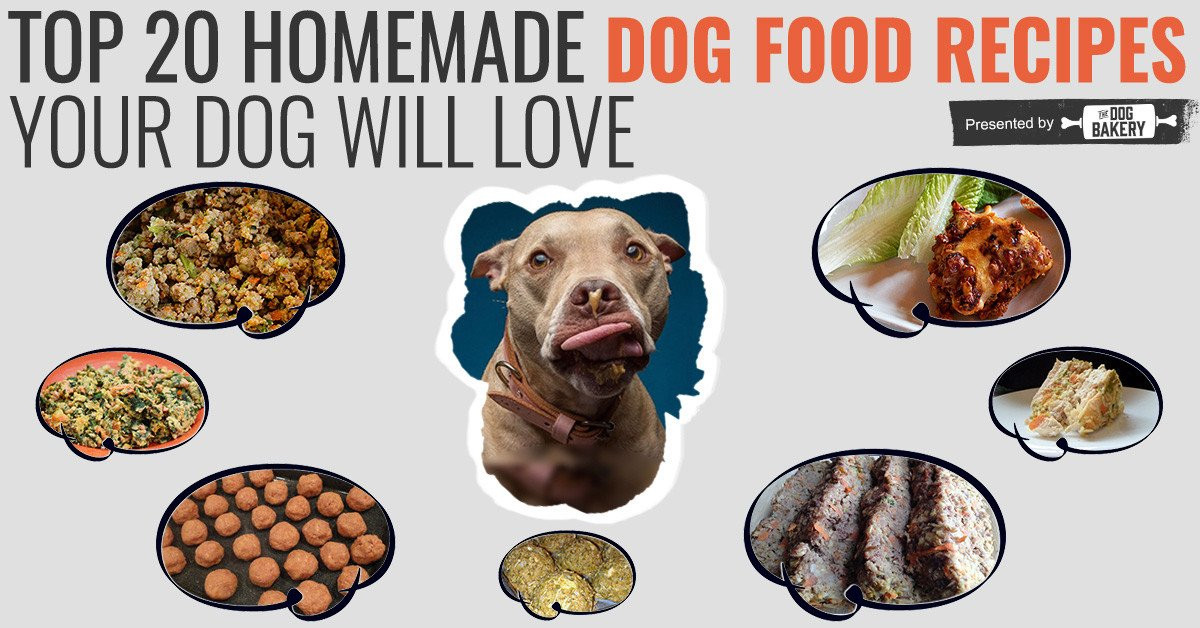Homemade Diabetic Dog Food Recipes
 Video Homemade Diabetic Dog Food Recipe Top Dog Tips