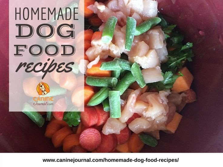 Homemade Diabetic Dog Food Recipes
 17 Best images about Dog Nutrition on Pinterest