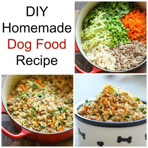 Diabetic Dog Food Recipes DIY Slow Cooker Dog Food Dog food recipes, Vegan dog … / 65 easy