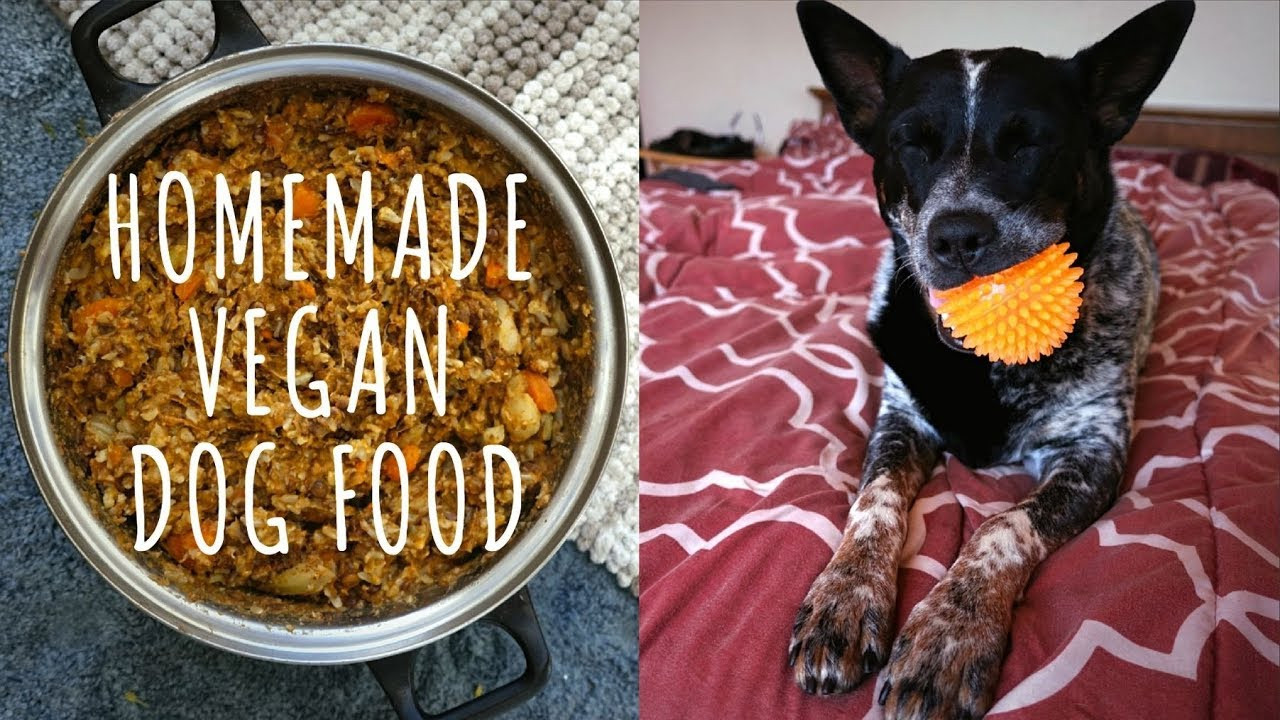 Homemade Vegan Dog Food Recipes
 Homemade VEGAN Dog Food Recipe SUPER Cheap Healthy & Easy