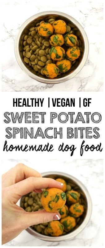 Homemade Vegan Dog Food Recipes
 Best 25 Dog food recipes ideas on Pinterest