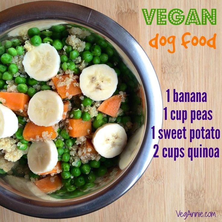 Homemade Vegan Dog Food Recipes
 Vegan Dogs Dogs are also able to survive and thrive on a