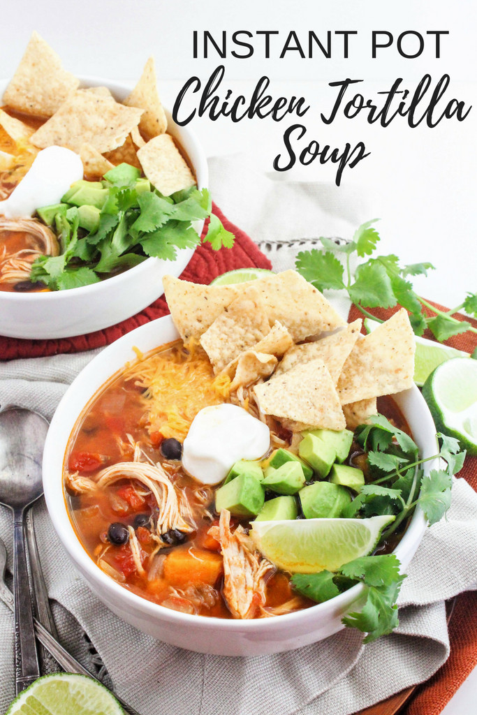 Instant Pot Chicken Recipes Healthy
 Instant Pot Chicken Tortilla Soup Recipe fANNEtastic